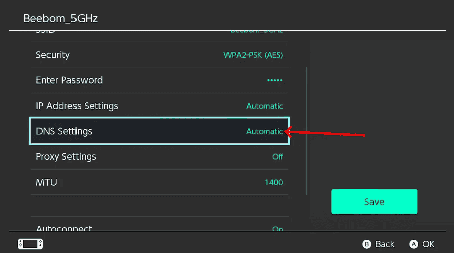 DNS setting